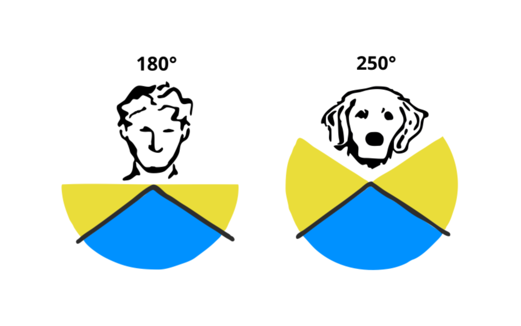 Schema grafico del campo visivo uomo e cane a confronto 